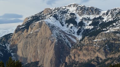 A snow-covered mountain with rocky cliffs and dense forests at its base.