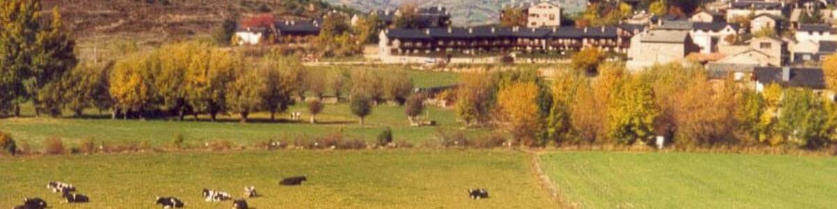 Un paysage rural avec des vaches qui paissent, un village et des montagnes en arrière-plan.