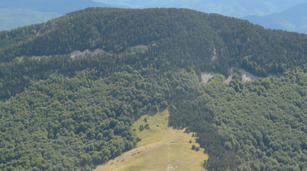 This is a a photo of a natural area in Catalonia, Spain, with id: