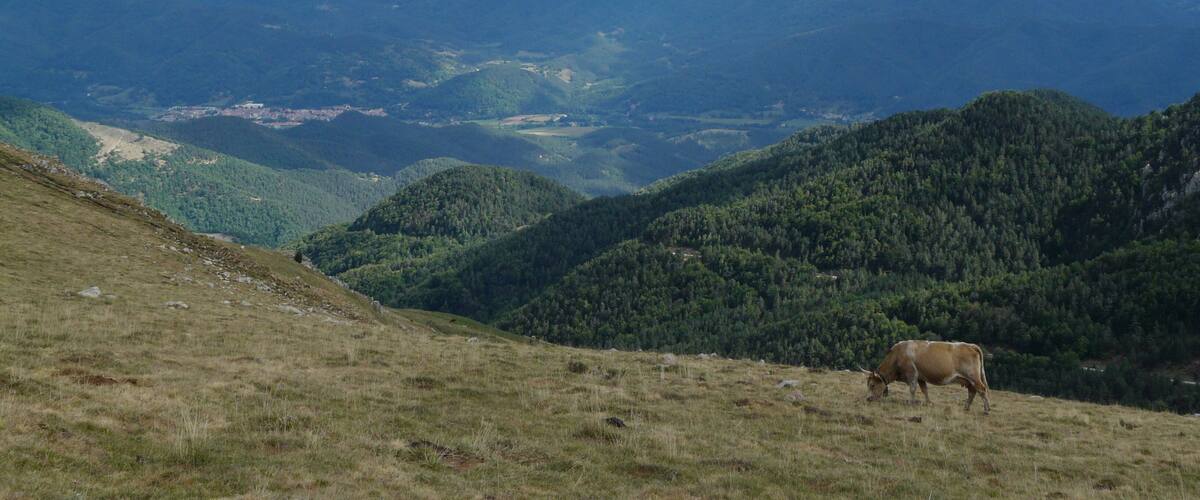 This is a a photo of a natural area in Catalonia, Spain, with id: