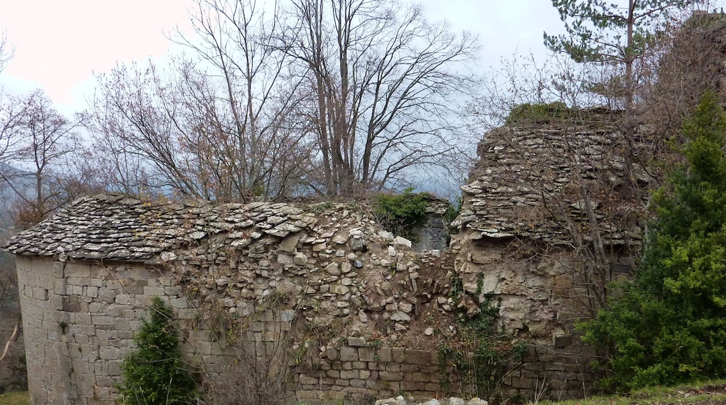 Santuari de Santa Maria de Vidabona (Ogassa)