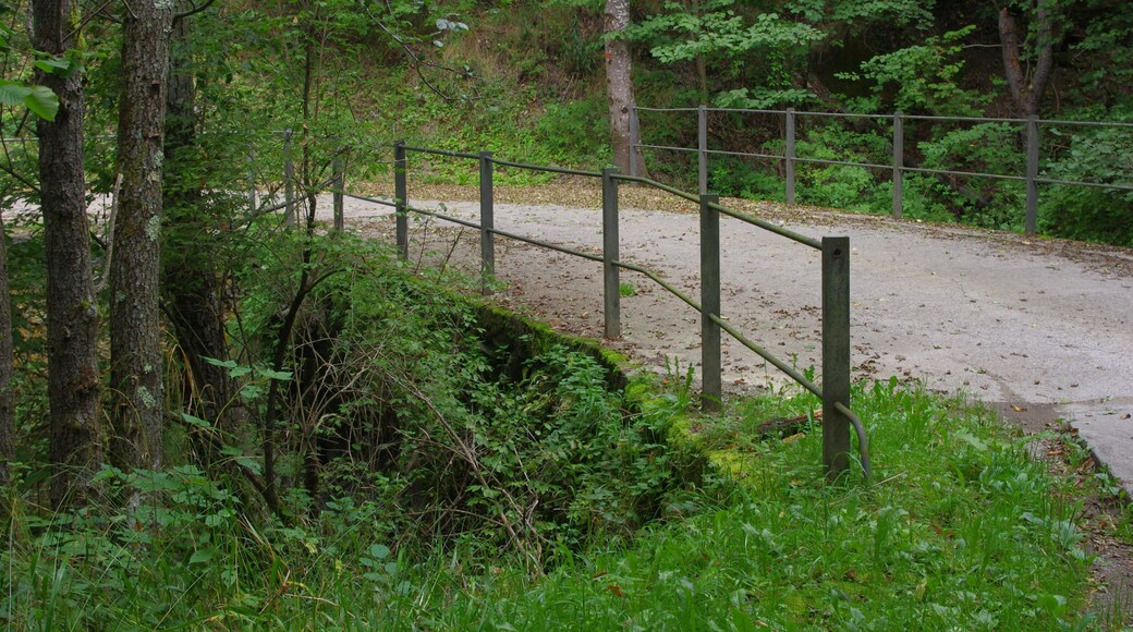 El Pont de VilarĂł, a les rodalies de Pardines This is a photo of a building indexed in the Catalan heritage register as BĂ© Cultural d'InterĂšs Local (BCIL) under the reference IPA-4046.