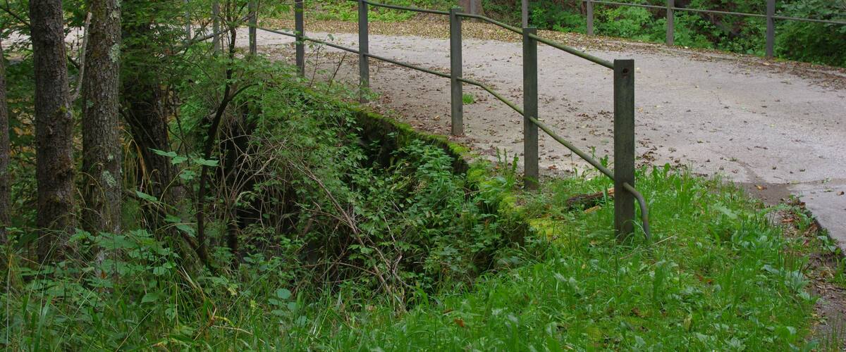 A forested area with a dirt path and a metal fence.