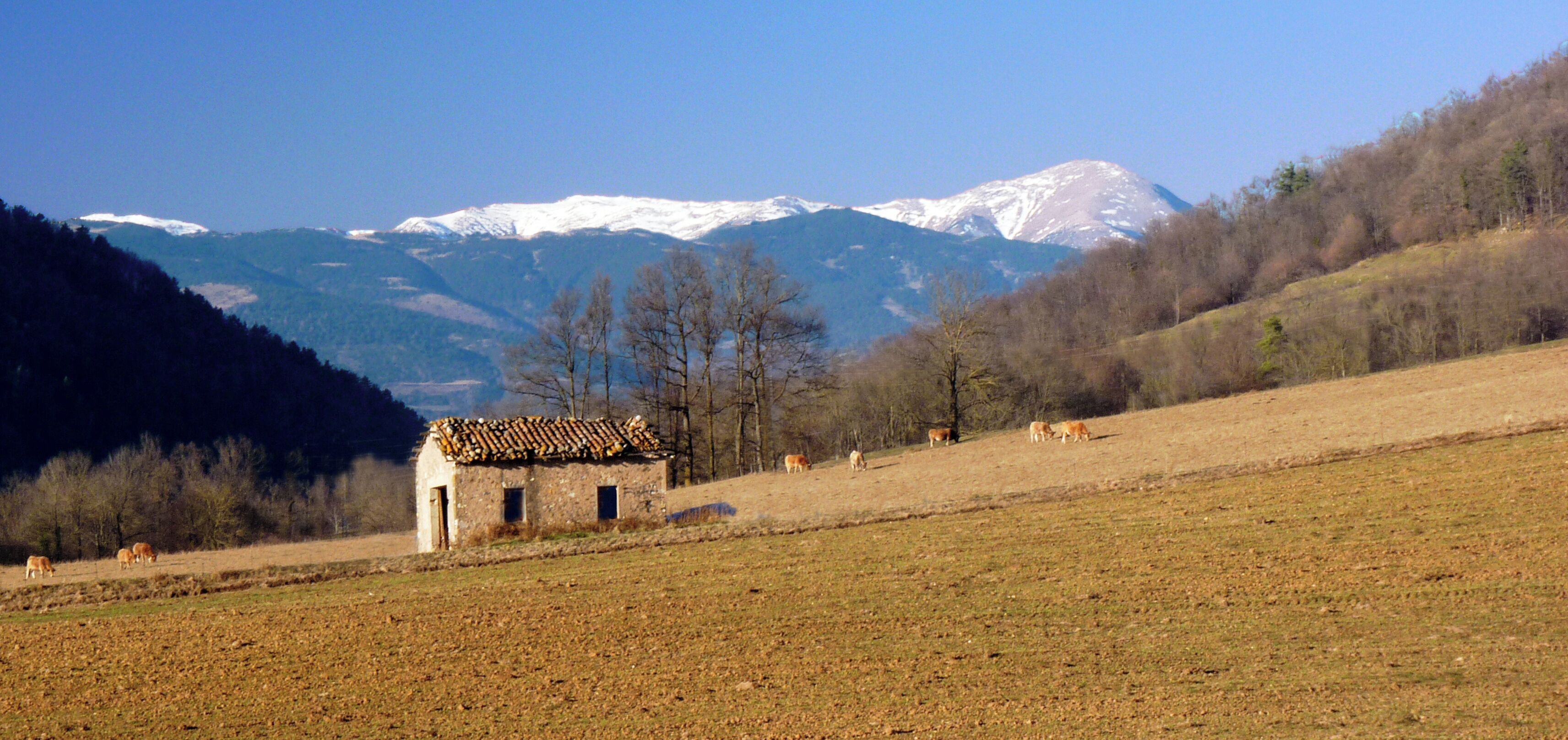 Masía en Sant Pau Seguries