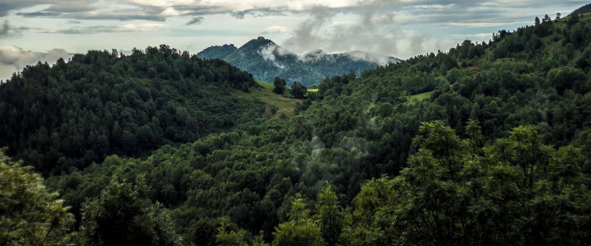 A lush green forested valley with rolling hills and a cloudy sky.
