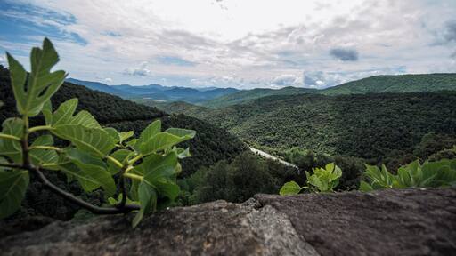Vistes de la riera de Bianya des de la carretera que va al poble de Sant Salvador de Bianya.