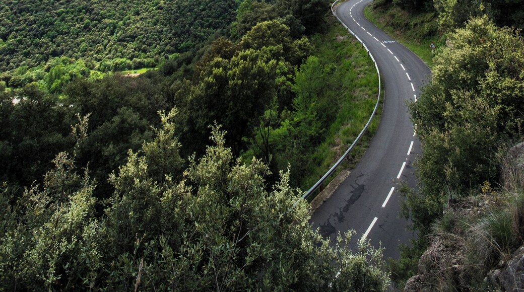 Vistes de la riera de Bianya des de la carretera que va al poble de Sant Salvador de Bianya.