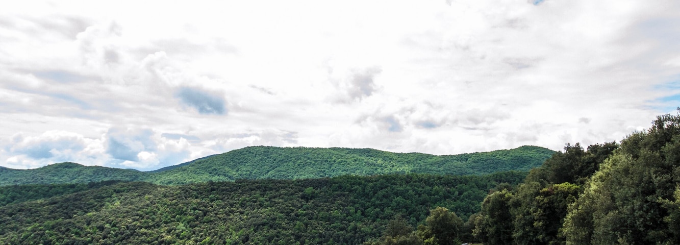 Vistes de la riera de Bianya des de la carretera que va al poble de Sant Salvador de Bianya.