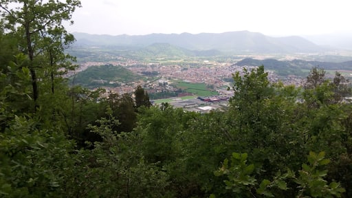vista d'Olot desde Sant Valentí