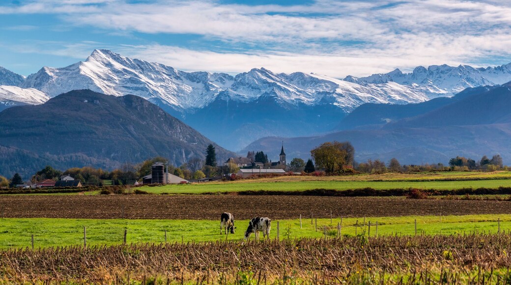 Panorama of a farm and field at the base of the Pyrenees Mountains