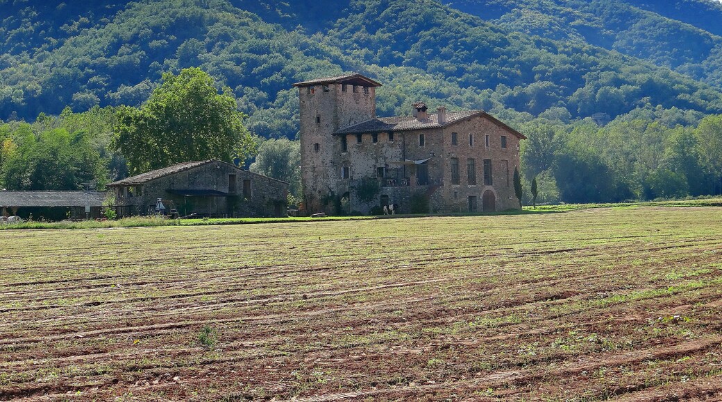La Torre de Bianya (la Vall de Bianya)