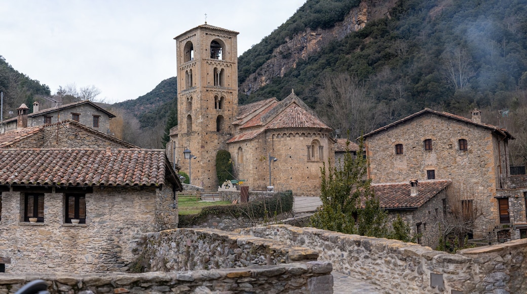 Beget