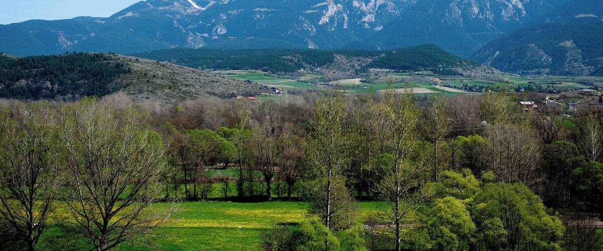 A mountainous landscape with a snow-capped peak, green fields, and scattered trees.