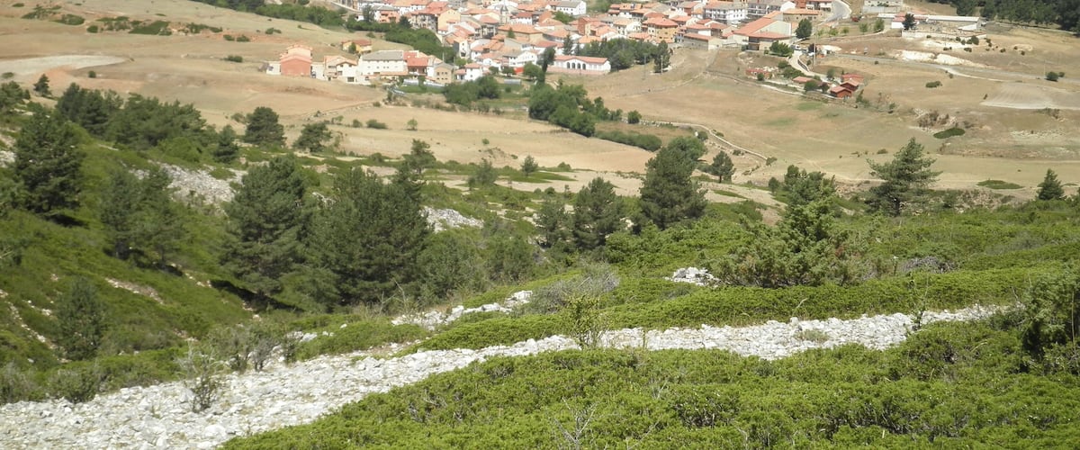 A hillside village with terraced houses and a river in the foreground.