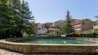 A stone fountain surrounded by trees and buildings in a residential area.