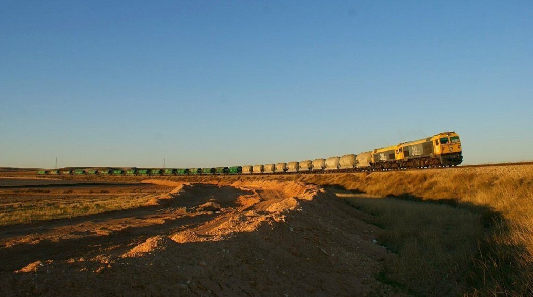 Amb les primeres llums del dia, va ser arribar i moldre a la línia de la tèrmica de Samper de Calanda, va ser baixar del cotxe i començar a escoltar a les 319 com baixaven cap a l'estació de Samper de Calanda amb el fre dinàmic, amb les 16 tremuges de carbó buides i les 10 de cendres. Con las primeras luces del día, fue llegar a la linea de la térmica de Samper de Calanda y besar el santo, bajarnos del coche y oír como las 319 bajaban hacia la estación de Samper de Calanda metiendo el dinámico, con las 16 tolvas de carbón vacías y las 10 de cenizas.