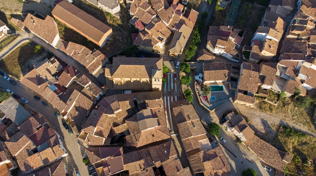 ์นด์คํ
์ํ
