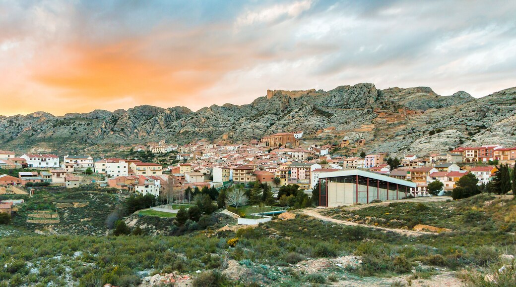 ์นด์คํ
์ํ
