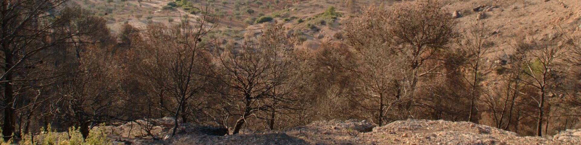 Vista desde el mirador de Alloza