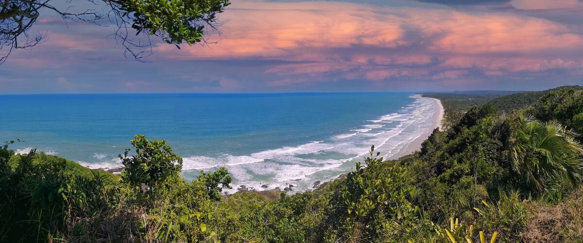 A coastal landscape with a beach, ocean, and lush greenery.