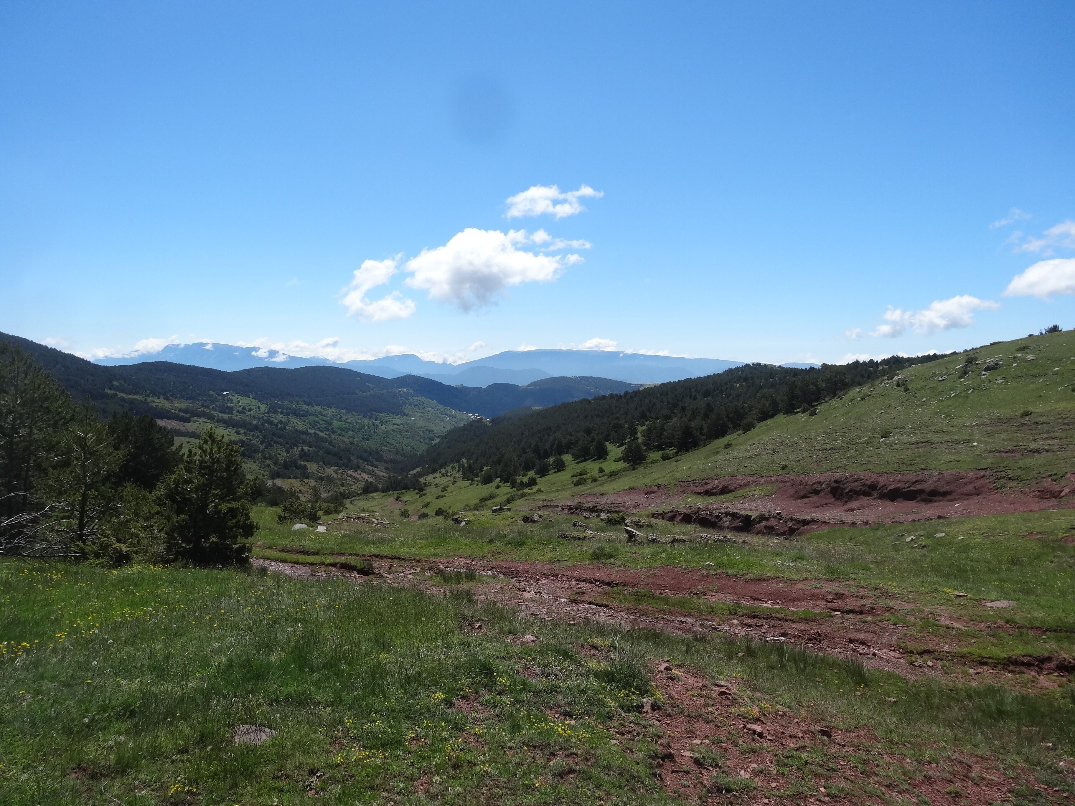 A valley with green hills, a dirt path, and distant mountains under a clear sky.