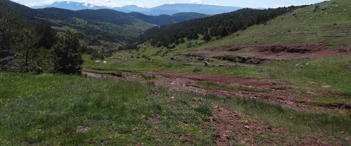 A valley with green hills, a dirt path, and distant mountains under a clear sky.
