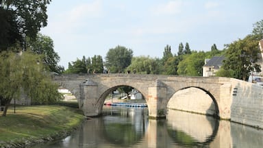 A stone bridge over a calm river with a swan swimming below.