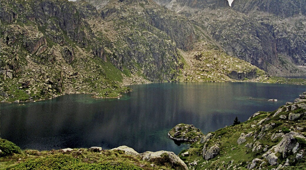This is a a photo of a wetland in Catalonia, Spain, with id: