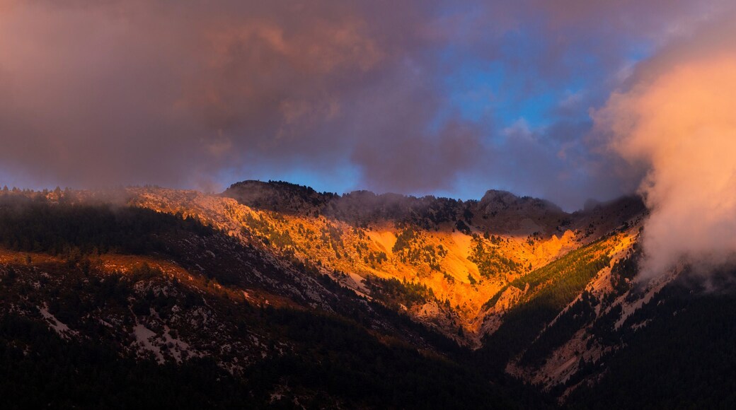 莱斯瓦利斯德瓦利拉