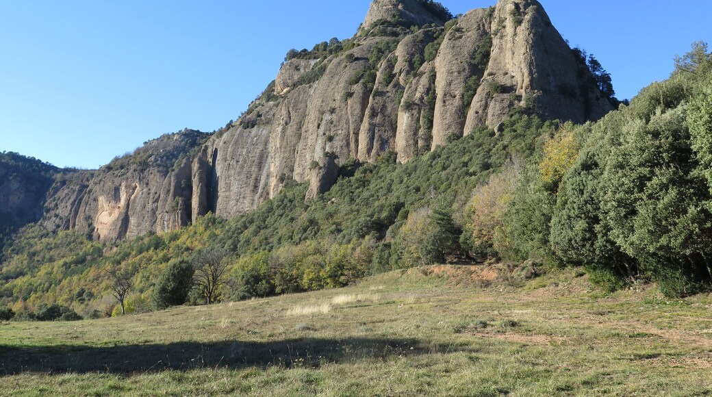 Cingle de l'Espluga des de la Torre de la Corriu