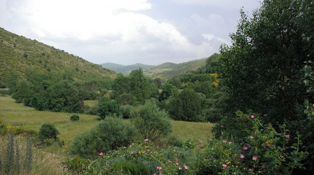 Valle Gordo valley (Murias de Paredes, LeĂłn, Spain)