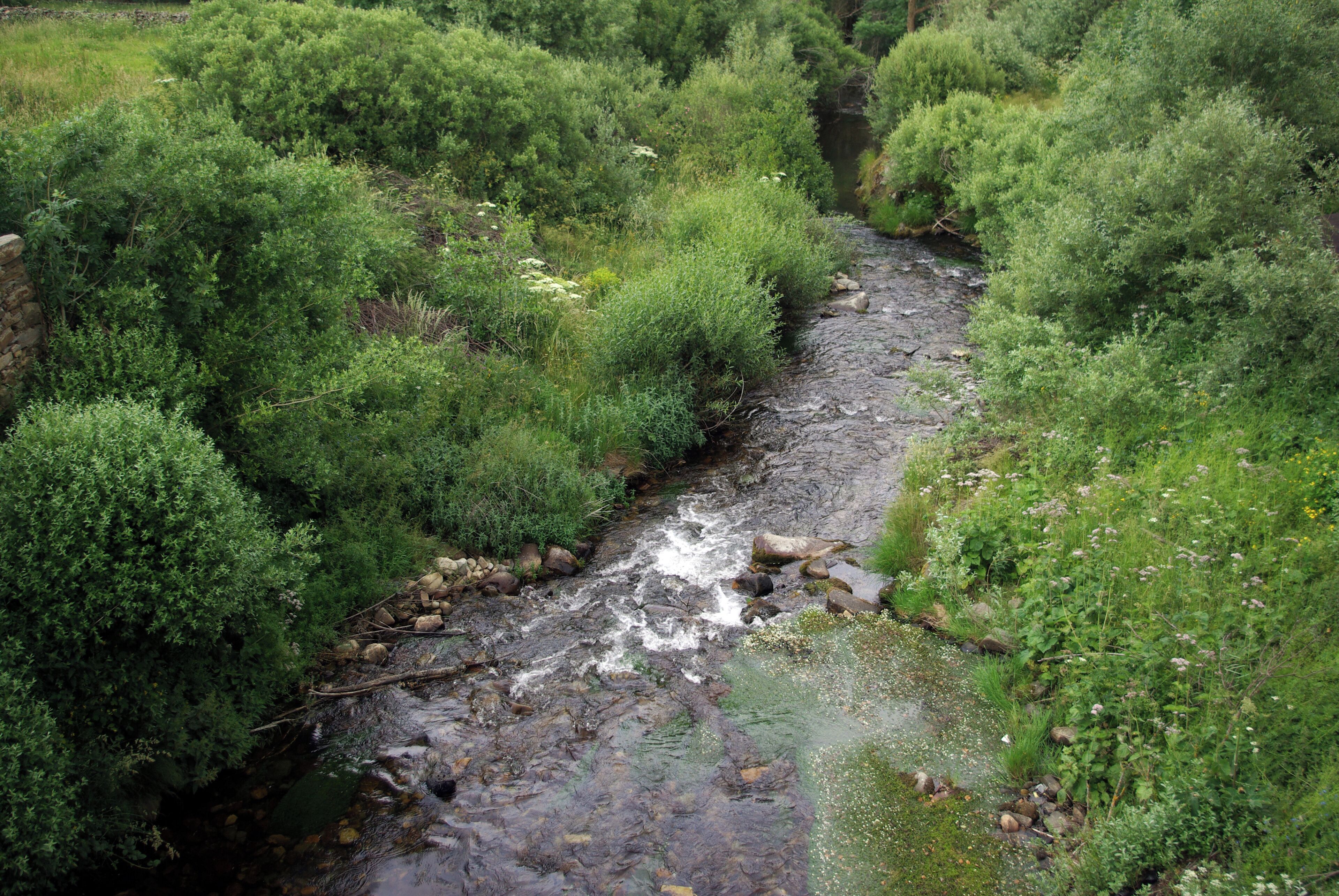 River Vallegordo in Barrio de la Puente (Murias de Paredes, León, Spain)