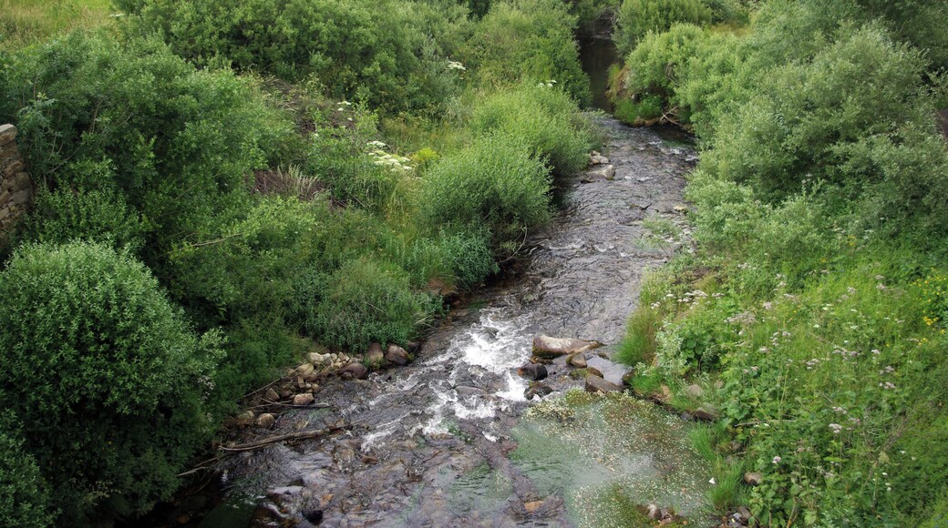 River Vallegordo in Barrio de la Puente (Murias de Paredes, León, Spain)