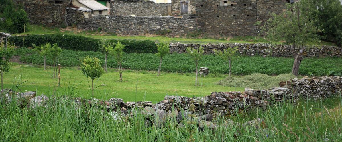 A rural village with stone buildings, green fields, and a hillside in the background.