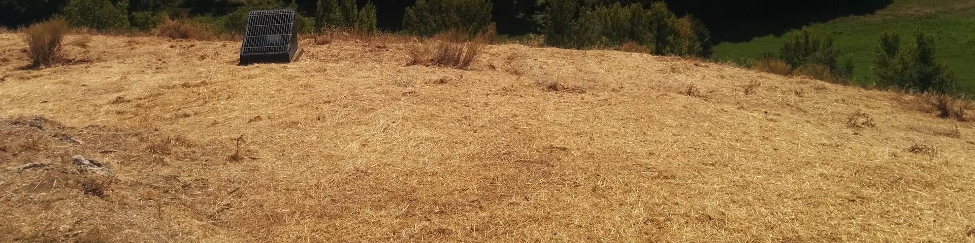 Ribera del río Luna a su paso por Santa María de Ordás, León, España.