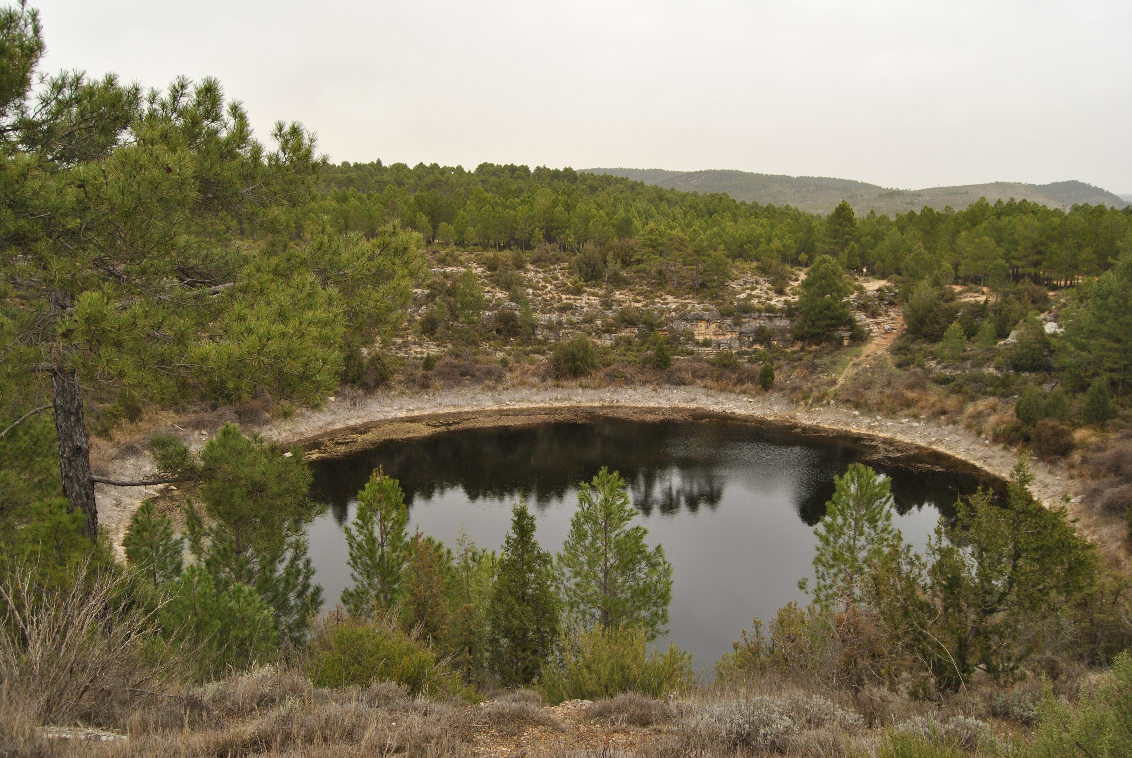 A small pond surrounded by trees and hills.