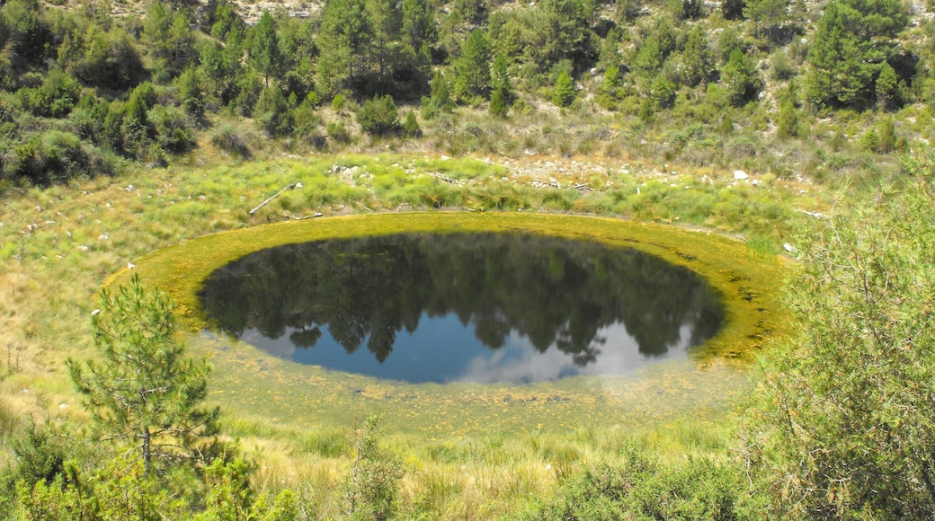 Lagunilla Tejo - Cuenca - Spain