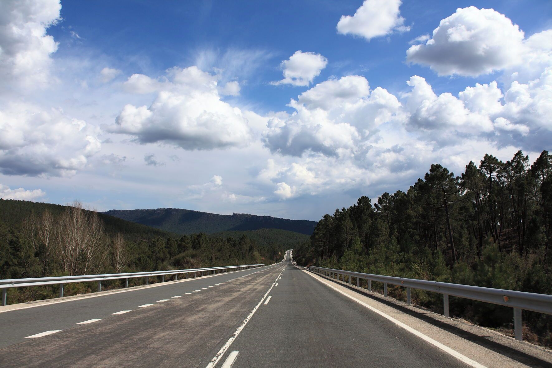 Carretera Nacional 420 en Pajaroncillo, 2010