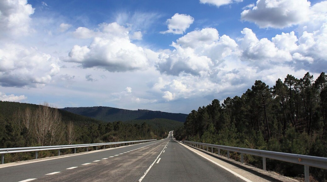Carretera Nacional 420 en Pajaroncillo, 2010