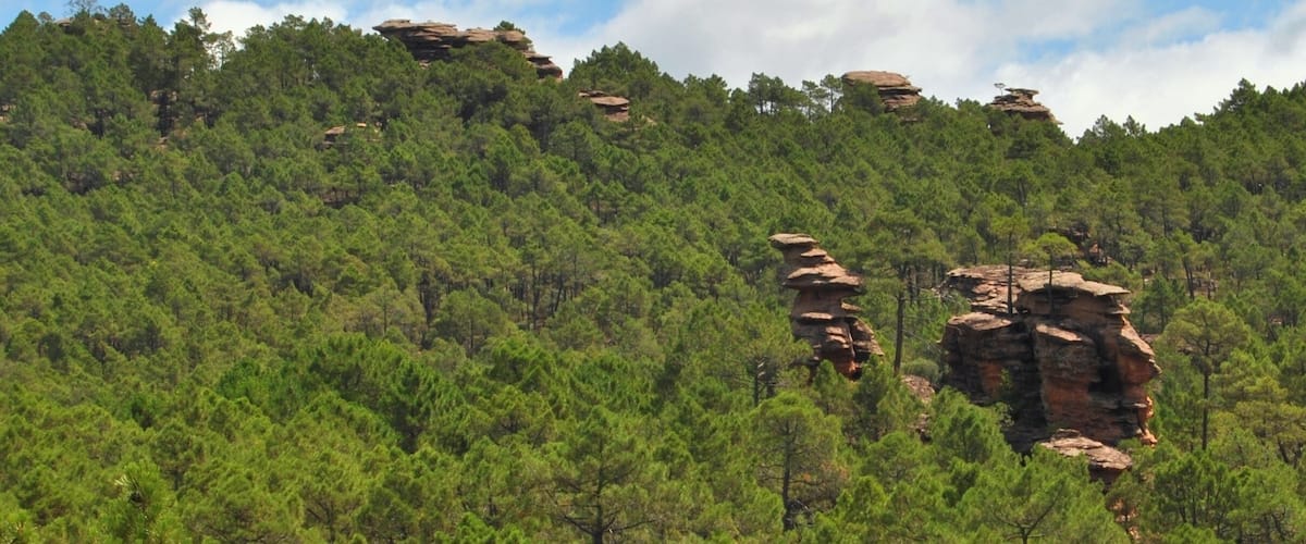 A forested mountain with prominent rock formations.