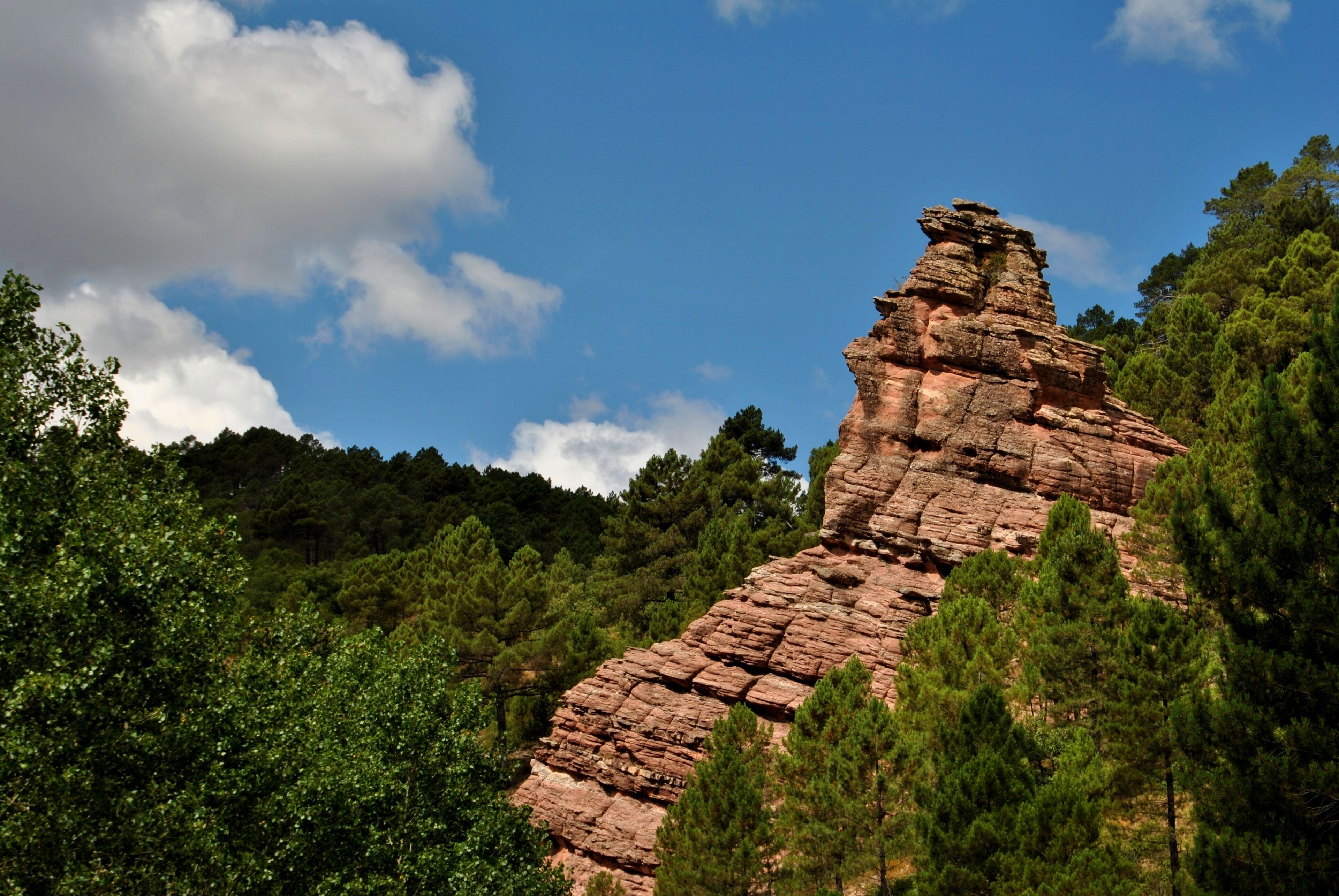 A rocky mountain peak with dense forest.