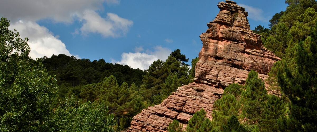 A rocky mountain peak with dense forest.