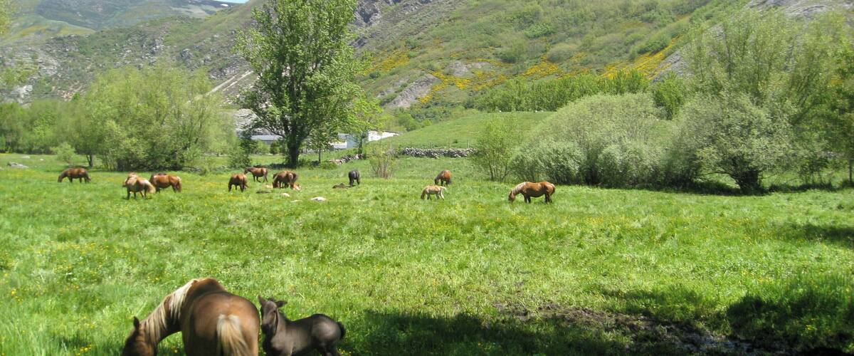 Provincia de León, España.