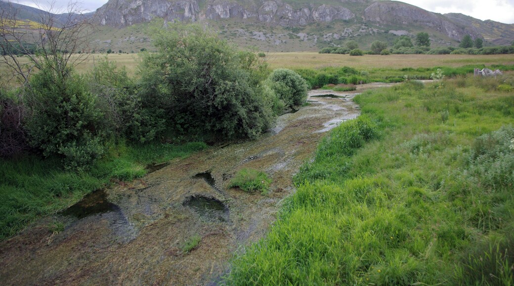 River Luna at Cabrillanes (León, Spain).