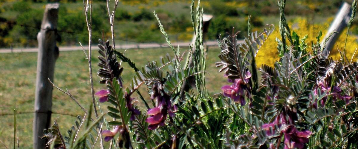 Provincia de León, España.