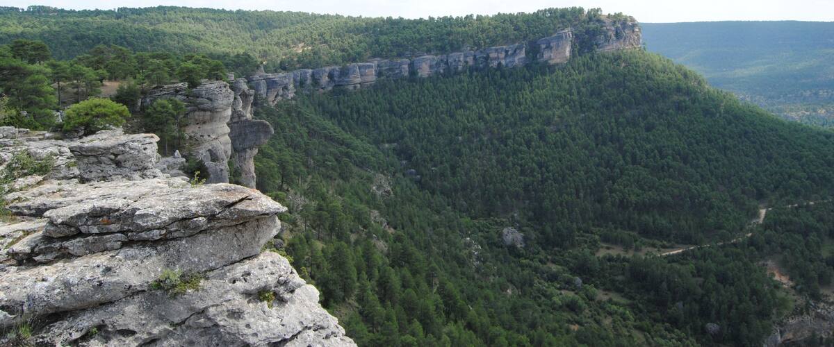 A rocky cliff edge with a forested valley below.