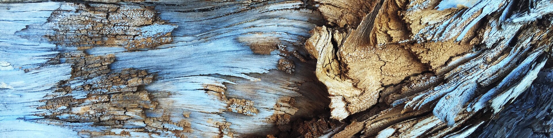 Primer plano de una superficie de madera desgastada, con pintura descascarada y texturas detalladas.