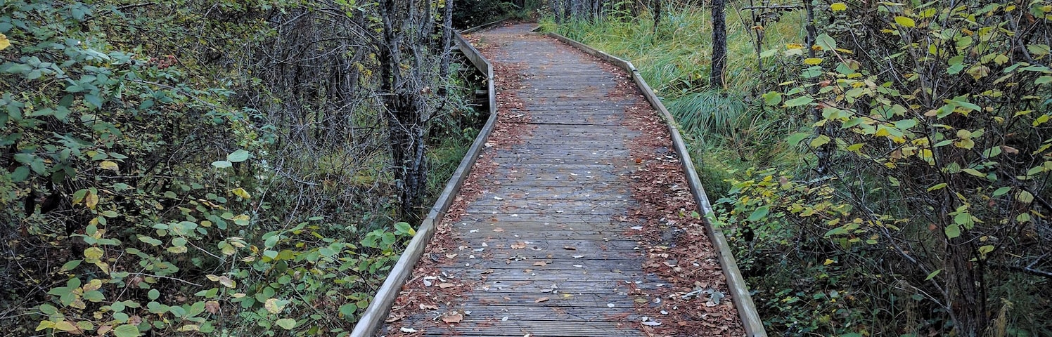Botanical trail in Hoz de Beteta. Beteta, Cuenca, Spain.