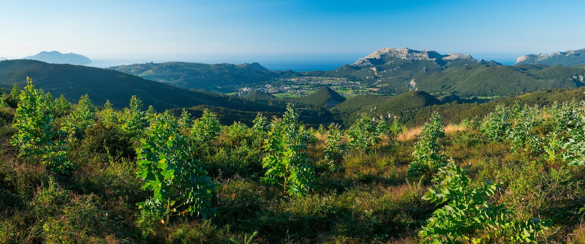 A mountainous landscape with a valley, dense greenery, and distant mountains.