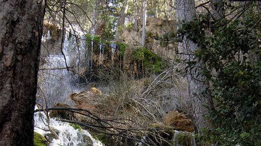 CASCADAS EN EL RIO CUERVO